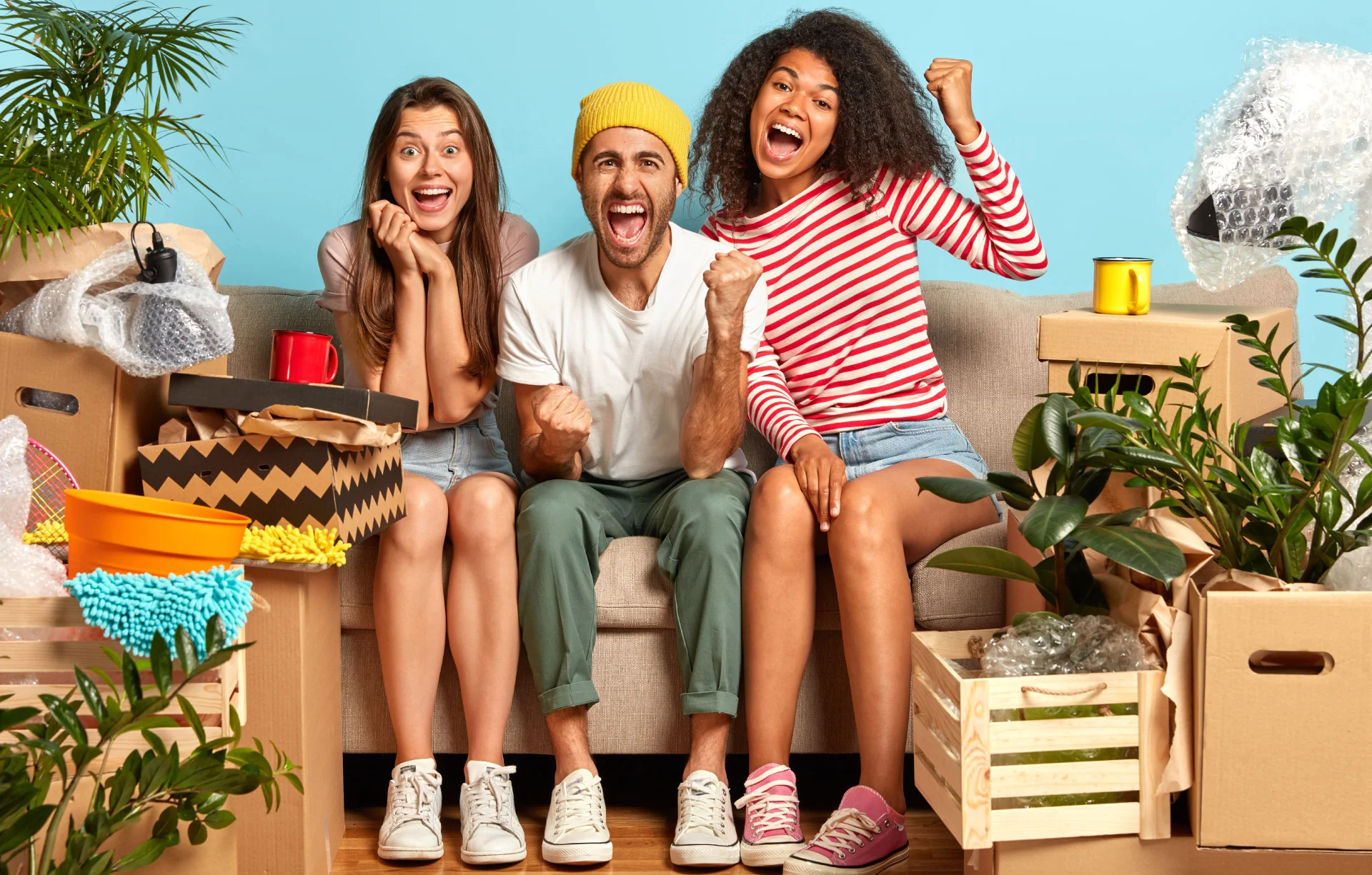 Productos para hogar - Diseño y funcionalidad