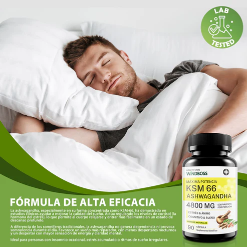 ASHWAGANDHA WINDBOSS KSM 66 - Imagen 4