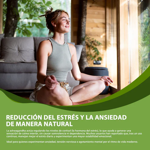 ASHWAGANDHA WINDBOSS KSM 66 - Imagen 3