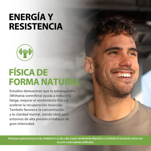 ASHWAGANDHA WINDBOSS KSM 66 - Imagen 5