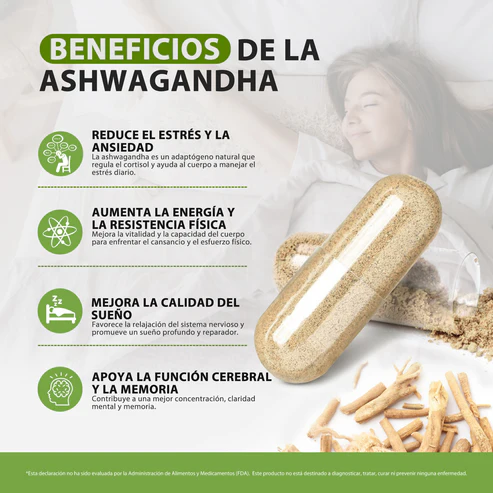 ASHWAGANDHA WINDBOSS KSM 66 - Imagen 7