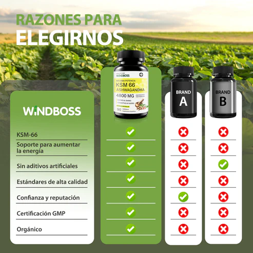 ASHWAGANDHA WINDBOSS KSM 66 - Imagen 6